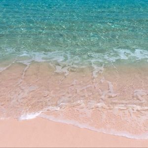 Meet your Posher, Camryn